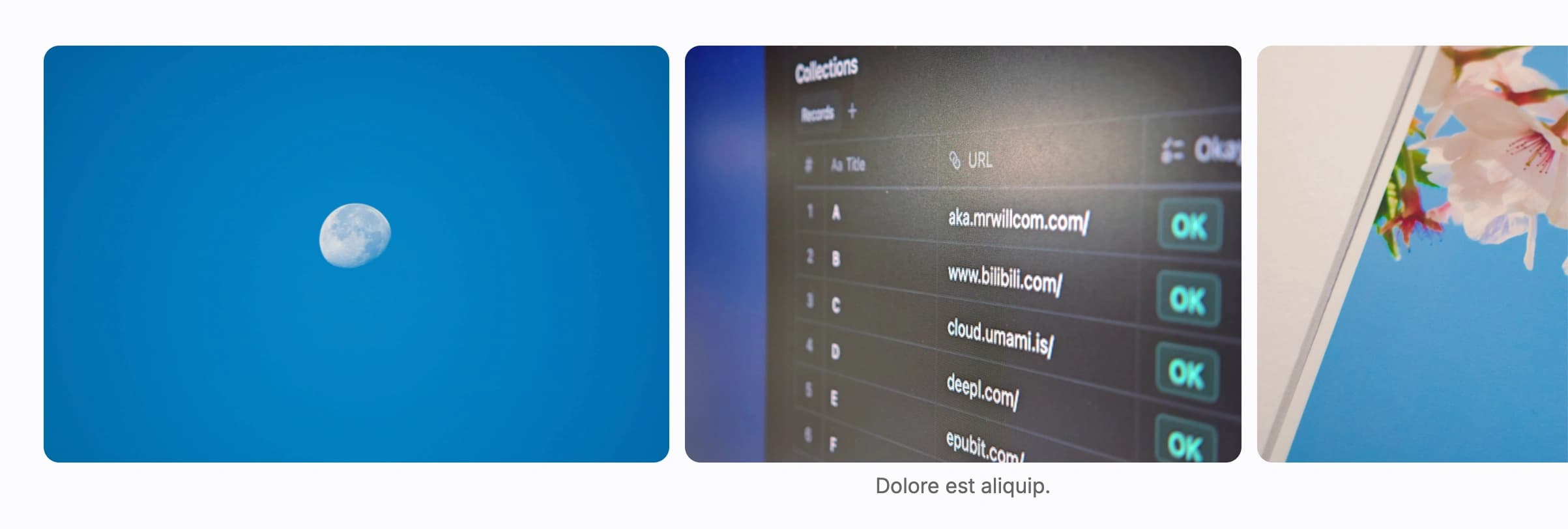 Screenshot of a carousel